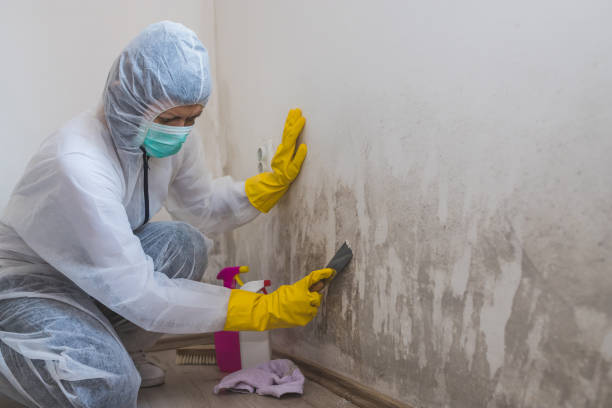Best HVAC Mold Inspection and Cleaning  in Paradise, CA
